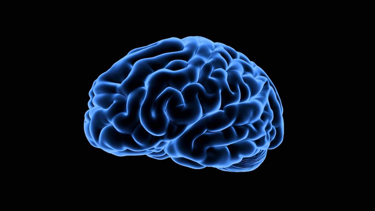 Stylised visual of a brain in blue against a black background.